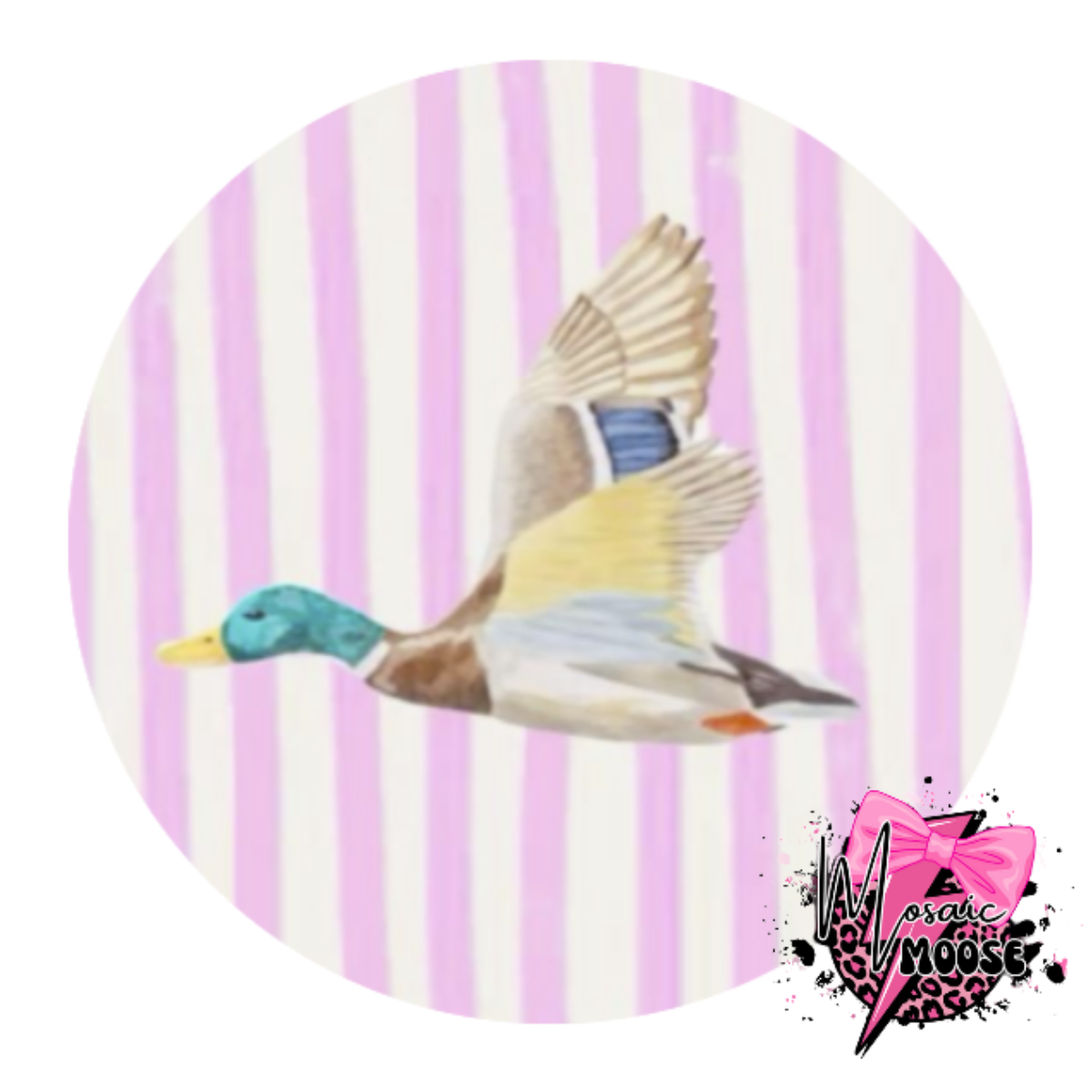 Pink stripe Duck