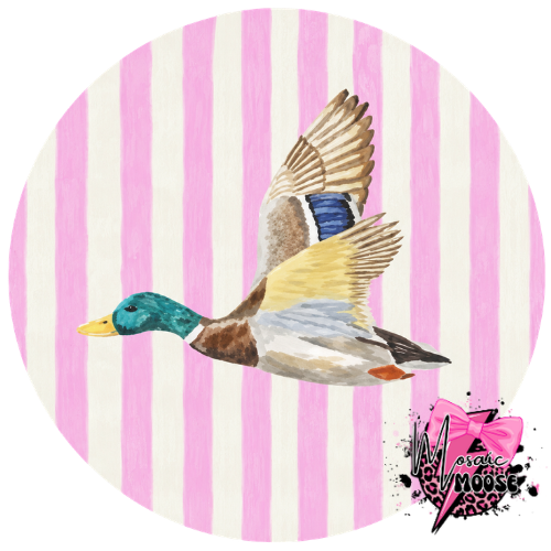 Pink stripe Duck