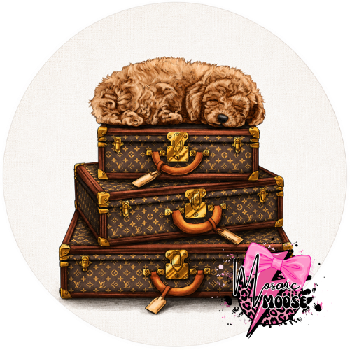 Dog on LV luggage