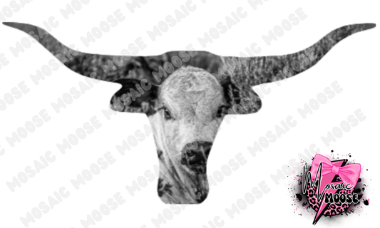 Longhorn-1