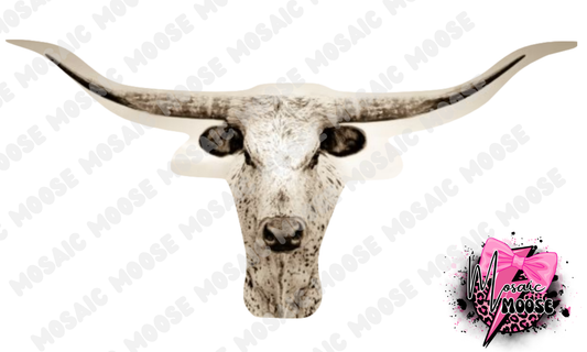 Longhorn-2