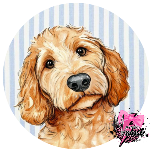 Golden Doodle