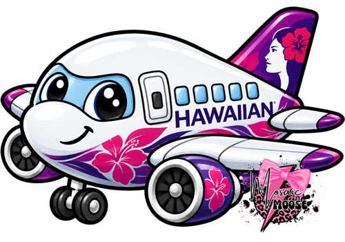 Hawaiian Airplane