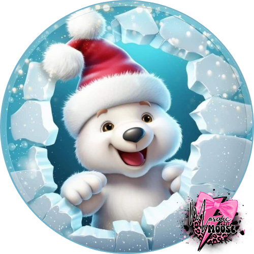 Polar bear ice