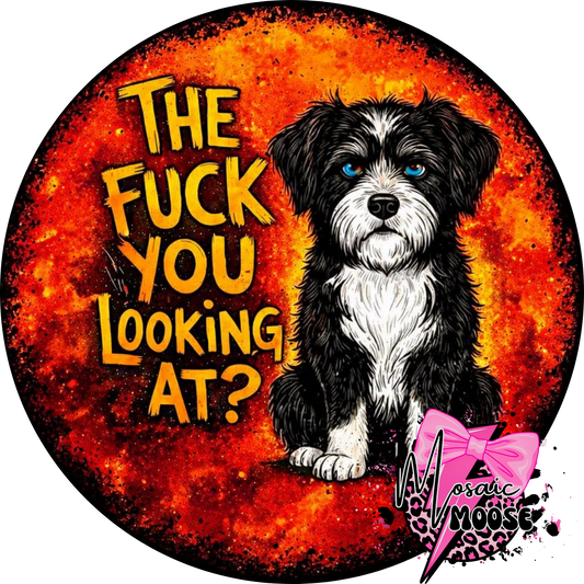 The Fuck-2