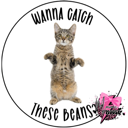Wanna Catch These Beans-1