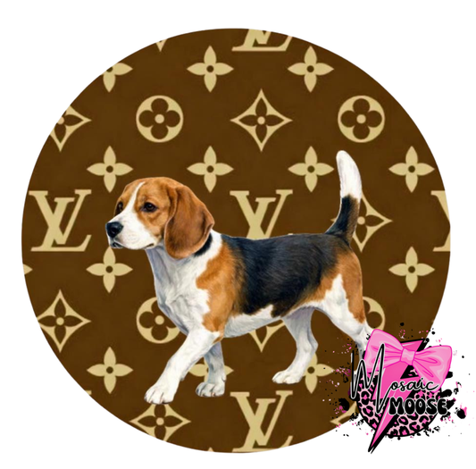 Beagle